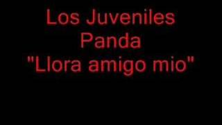 Los Juveniles Panda quotLlora Amigo Mioquot [upl. by Ondrea24]