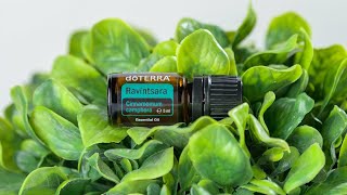 doTERRA Ravintsara 5ml  Translated Subtitles [upl. by Annuhsal]