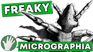 Freaky Micrographia  Objectivity 43 [upl. by Ecnahc]