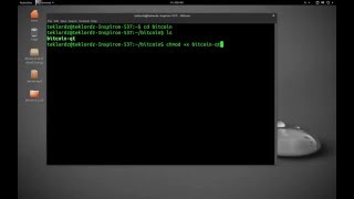 How to install Bitcoin Core wallet in any Linux distribution [upl. by Suisyola]