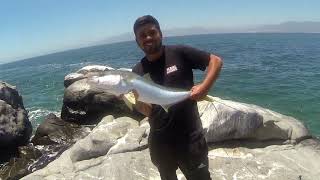 Pesca en Rocas Buscando Palometas  Coquimbo Chile [upl. by Malda]