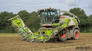 Ensilage de maïs 2015 by ETA DEHANT claas jaguar 970 ORBIS 900 [upl. by Sven]