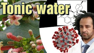 Does Quinine and Tonic water can fight Coronavirus [upl. by Ettelrats]