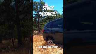 Stuck Subaru 1 subaru towing winch recovery offroad viral viralvideo viralshort [upl. by Ramunni]