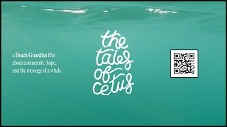 THE TALES OF CETUS  A Beach Guardian Film Crowdfunder Trailer [upl. by Enilauqcaj]