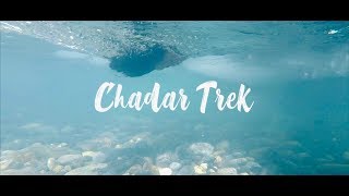 Chadar Trek 4K  Frozen River Trek Vlog Shubham Agrawal  Leh ladakh  Trek [upl. by Atiuqad]