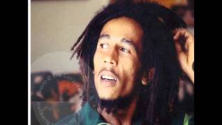 Bob Marley Stiff Necked fools Demo Confrontation [upl. by Meijer65]