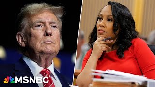 See It Full Trump hearing in Georgia RICO case I MSNBC [upl. by Laehctim279]