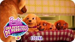 Conoce a Honey™ Rookie y DJ  Escena  Barbie™ y sus hermanas en quotUna aventura de perritosquot [upl. by Anirtek]