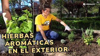 Cultivar hierbas aromáticas en el exterior  Jardinatis [upl. by Marj]