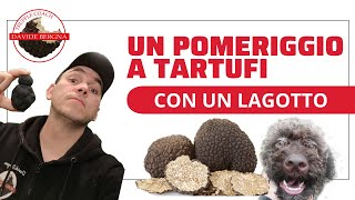 TARTUFO NERO ESTIVO  Vi porto con me Tabuia Lagotto Romagnolo [upl. by Dorolice]