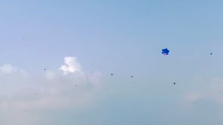 Pakistan basant scene 2024 [upl. by Annayehc]