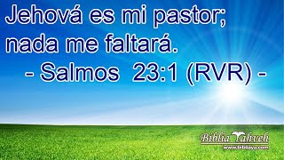 David entendía que todo proviene de Dios – Salmos 23 1 – 3 y Filipenses 4 18 – 19 [upl. by Oilla]