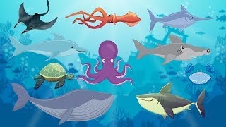 Sea Animals for Kids  Learn Sea Animals name with Shark Whale Dolphin Octopus  Mimi TV [upl. by Annabelle310]