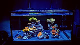 How to set up a Saltwater Reef Aquarium for beginners 2021 [upl. by Naivat469]