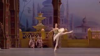 LE CORSAIRE  Odalisque Variation 2 Elvina Ibraimova  Bolshoi Ballet [upl. by Orian]