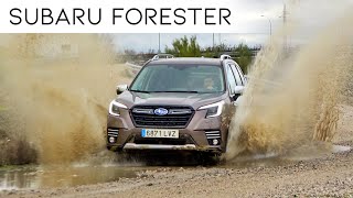 SUBARU FORESTER 2022  Review  Test Off Road  LoadingCars [upl. by Knudson]