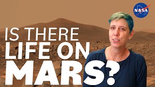 Is There Life on Mars We Asked a NASA Scientist [upl. by Cinom601]