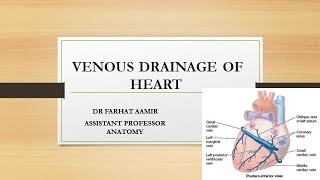 Arterial Supply And Venous Drainage of Heart [upl. by Canfield911]