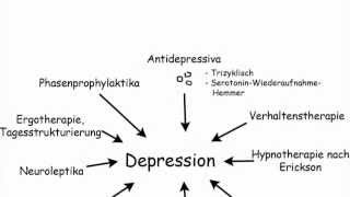 Heilpraktikerwissen quotDepressionquot [upl. by Farlee338]