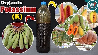 Discover the Simple Secret to Making Your Own Potassium K [upl. by Rednael]