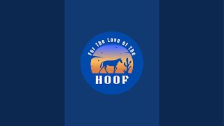 For the love of the hoof is live [upl. by Mavra364]