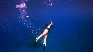 My Splash Sea Scooter Snorkeling Maui [upl. by Attesoj]