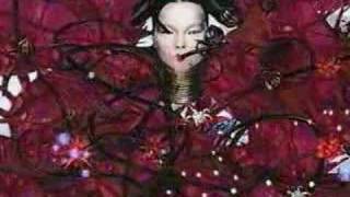 Bjork  Homogenic  TV ad [upl. by Lsil]