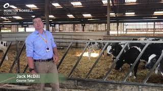 Agriculture Virtual Open Day Talk with Jack McDill [upl. by Tinor62]