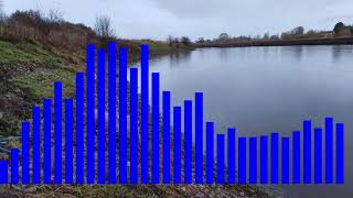 Goosander display closeup audio [upl. by Arym]