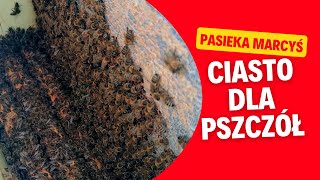 Czy to już czas na ciasto dla pszczół Jakie ciasto wybrać [upl. by Einwahs251]