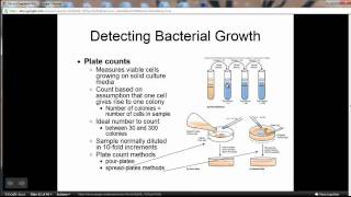 Chapter 4 Bacterial Growth Enumeration [upl. by Srini349]