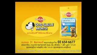 Pedigree DentaStix Dog Smile Month 2012 [upl. by Annorah540]