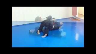 Goshindo en Madrid Montero Budo Kai [upl. by Mayer82]