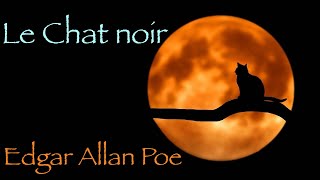 Livre audio  Le Chat noir Edgar Allan Poe [upl. by Moyer]