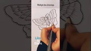 How to draw Bombyx mori silk moth shorts silkmoth [upl. by Waiter902]