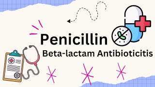 Penicillin Betalactam Antibiotic Mechanism of action How ti works [upl. by Enatan156]