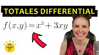 Totales Differential berechnen – Beispiel vollständiges Differential [upl. by Ahto]