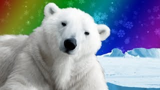 Polar Bears for Kids  Wild Animals  Arctic Animals [upl. by Lyrem737]