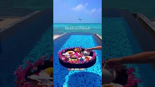 Maldives Honeymoon Package ☎️8290405227  Maldives tour package  Maldives low price tour [upl. by Ennairoc761]