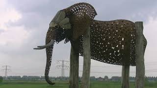 Een olifant in de de Nieuwe Dordtse Biesbosch movie [upl. by Devol91]