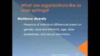 Introduction to Organizational Behavior Chapter 1 [upl. by Allertse]