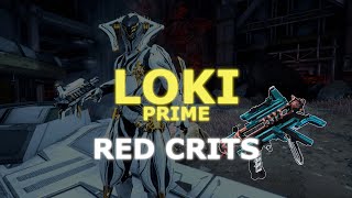 Warframe Loki Prime Build e Guia  NUKE DE RED CRITS COM A SECUNDÁRIA [upl. by Evelc]