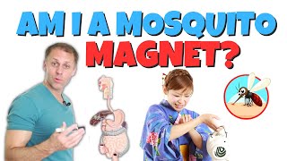 Why Am I a Mosquito Magnet [upl. by Grannia]