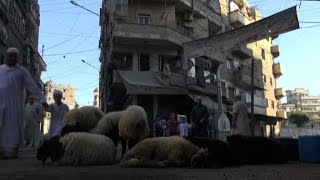 I musulmani di Aleppo festeggiano lEid la Festa del Sacrificio [upl. by Annoyek]