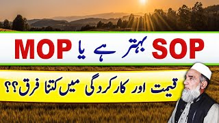 SOP Vs MOP  Which is better form of Potash  Crop Reformer [upl. by Novyert]