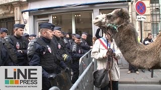 Saisie de 250 kg de cocaïne au large de la Martinique [upl. by Gypsie625]