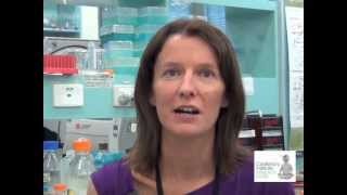 Tuberculosis Treatment  Dr Simone Barry on Drug Resistant TB [upl. by Burnaby290]