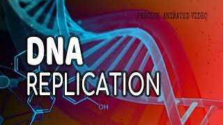 DNA Replication  Helicase  leading strand  Lagging strand  Okazaki fragments [upl. by Ribaudo]