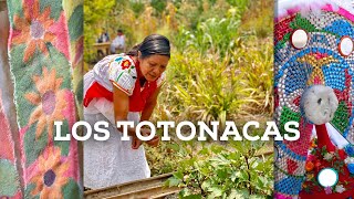 Nación Totonaca El pueblo originario de Veracruz [upl. by Gilboa]